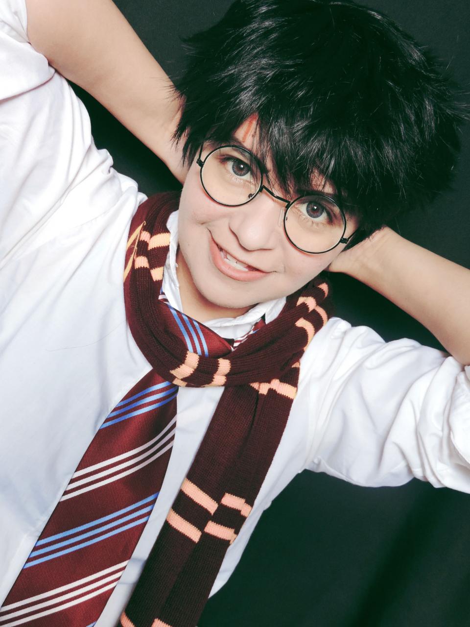Top 14 Harry Potter Series Cosplay