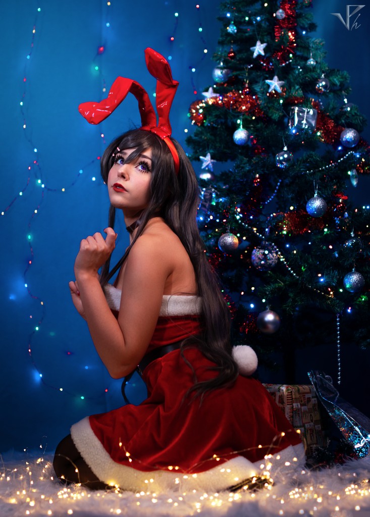 Inventory Rolecosplay 2022 Christmas cosplay (45)